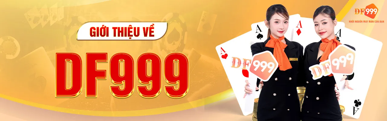 Baner giới thiệu df999